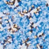 Pancreas (double label): Beta cells (blue, Vector Blue), Alpha cells (brown, Vector DAB).