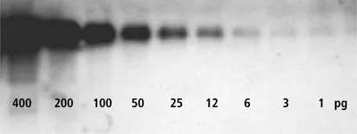 Dlwestchemi400 Jpg
