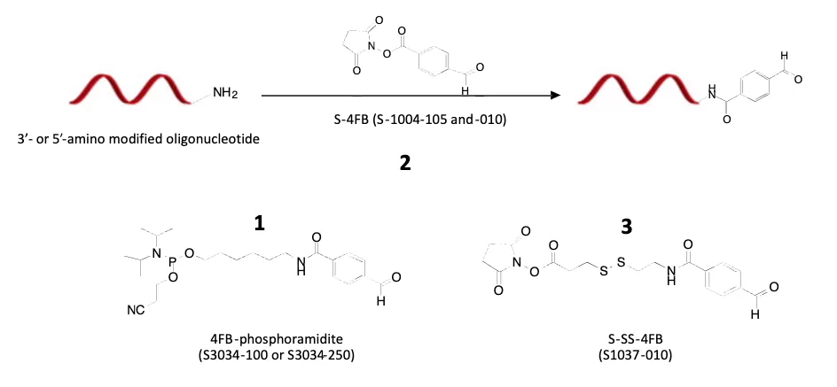 Protein–Oligo Conjugation Kit 4 S 9011 F2 Jpg