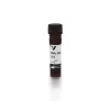 Sambucus Nigra Lectin (SNA, EBL), CY3