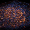 Tonsil (FFPE): Antigen Retrieved with Antigen Unmasking Solution and stained with Cy3 PNA (red-orange). Mounted in VECTASHIELD HardSet with DAPI (blue).