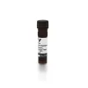 Goat Anti-Digoxigenin/Digoxin (DIG) Antibody, DyLight™ 488