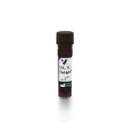 Lycopersicon Esculentum (Tomato) Lectin (Lel, Tl), Dylight® 649