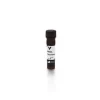 Wheat Germ Agglutinin (WGA), Fluorescein
