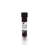 fl 1101 5 griffonia bandeiraea simplicifolia lectin gsli bsli fluorescein jpg
