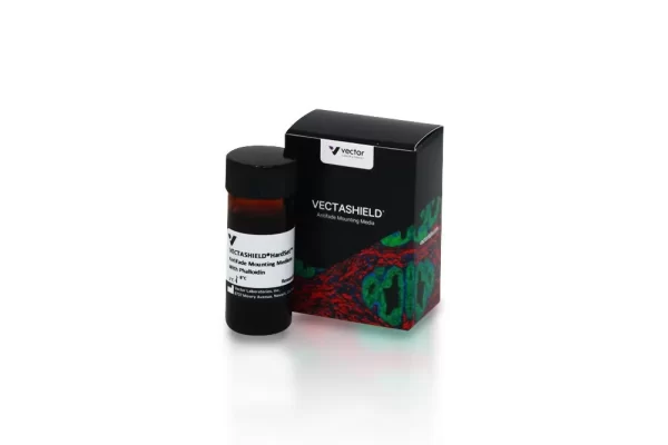 Vectashield® Hardset™ Antifade Mounting Medium With Phalloidin
