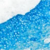Tonsil: Cytokeratin AE1/AE3 (m), ImmPRESS-AP anti-mouse Ig, Vector Blue (blue).