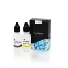 ImmPRESS® HRP Horse Anti-Mouse IgG Polymer Detection Kit, Peroxidase (15 ml)