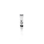 Anti-Streptavidin Antibody, Unconjugated