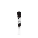 Horse Anti-Mouse Igg Antibody (H+L), Texas Red™