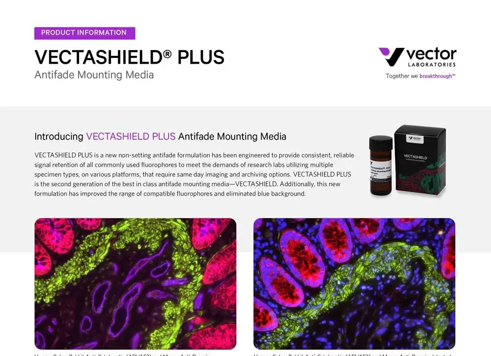V2 Vl Lit3018 Vectashield Plus Brochure Cover 1 Jpg