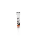 Westvision™ Peroxidase Polymer, Anti-Rabbit Igg (Western Blot Detection)