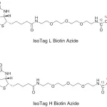 1501 Structure