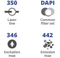 350Nm Laser 1 1