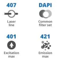 407Nm Laser