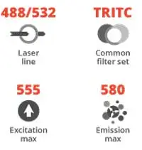 555Nm Laser