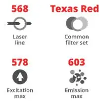 568Nm Laser