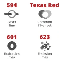 595Nm Laser 1