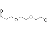 Cct 1013 Structure E1695451387641