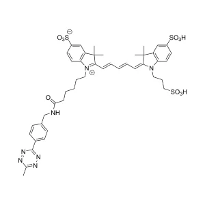 CCT 1019 Structure