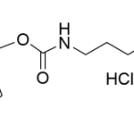 Cct 1021 Structure E1695451363417