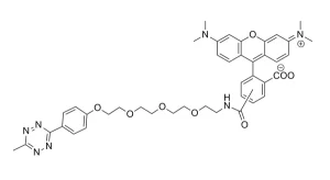 CCT 1026 Structure