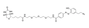 CCT 1041 Structure