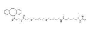 CCT 1108 Structure