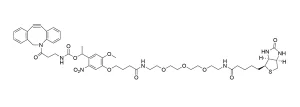 CCT 1120 Structure