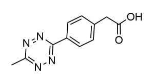 CCT 1125 Structure e1695450491187