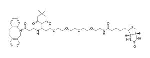 CCT 1138 Structure