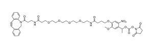 CCT 1160 Structure e1695450358637