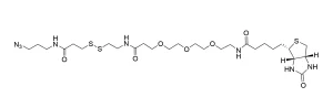 CCT 1168 Structure