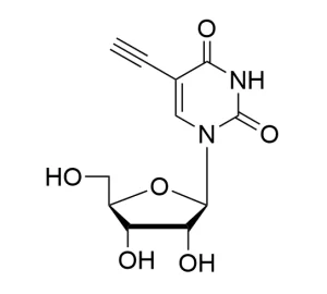 CCT 1261 Structure e1695450242638