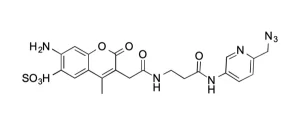 CCT 1268 Structure