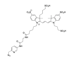 CCT 1288 Structure