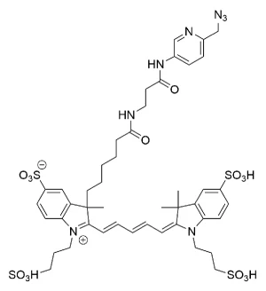 CCT 1300 Structure