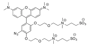 CCT 1370 Structure