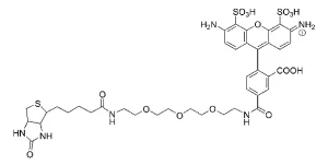 CCT 1395 Structure