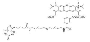 CCT 1396 Structure