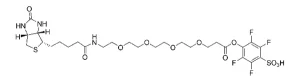 CCT 1404 Structure