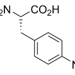 Cct 1406 Structure