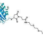 Cct 1535 Structure