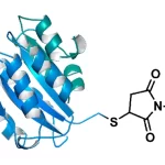 Cct 1536 Structure