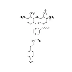 CCT 1538 Structure