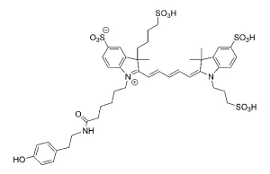 CCT 1543 Structure