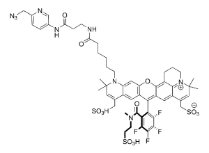 CCT 1549 Structure