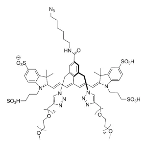 CCT 1562 Structure