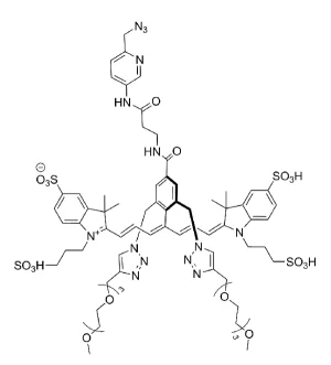 CCT 1563 Structure