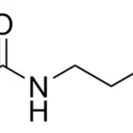 Cct 1569 Structure